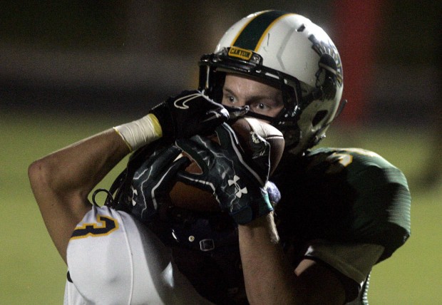 Canyon del Oro 36, Flowing Wells 15